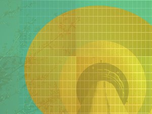 企业运营内部审计流程深度科普